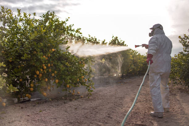 Best Affordable Pest Control Services  in Whitesburg, KY