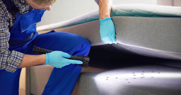 Best Best Pest Control Companies  in Whitesburg, KY