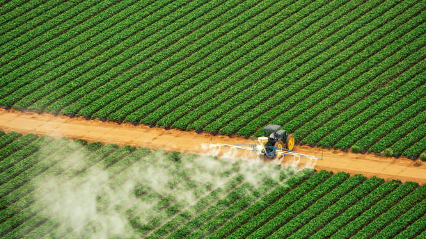 Best Affordable Exterminators  in Whitesburg, KY