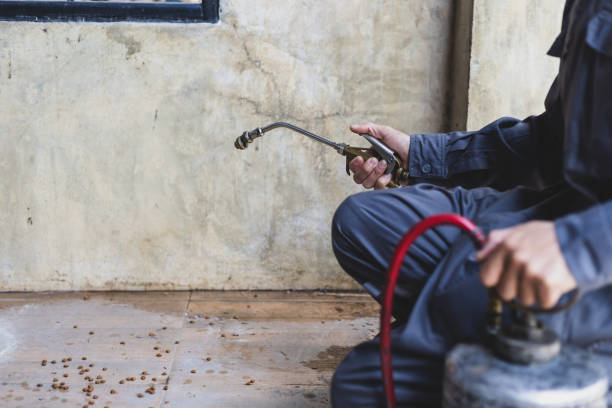 Best Termite Control Services  in Whitesburg, KY